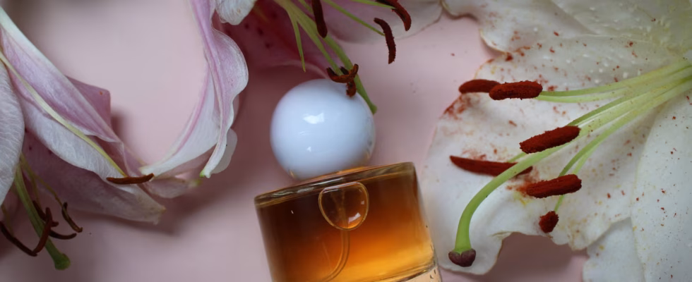 Le meilleur parfum féminin de 2026
