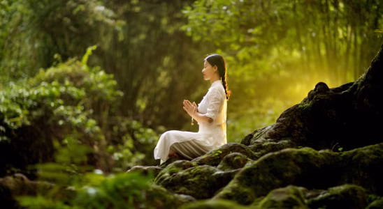 Méditation 2026 : 5 pratiques qui transforment vraiment