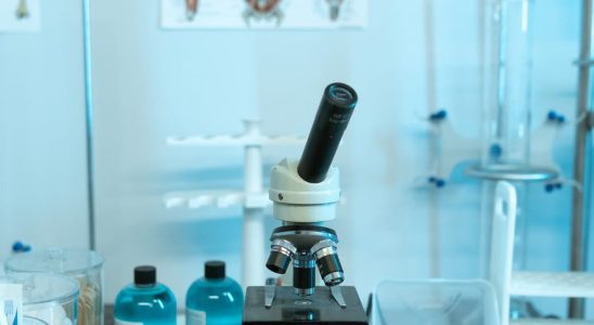 Santé et innovations 2026 : 5 révolutions médicales
