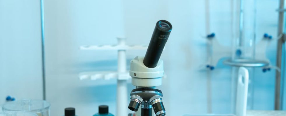 Santé et innovations 2026 : 5 révolutions médicales