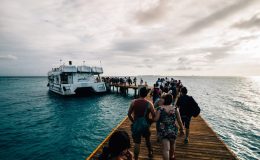 Comment les technologies embarquées transforment le tourisme itinérant
