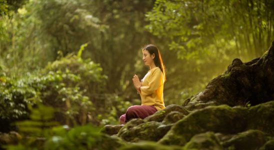 Marche méditative : 68% moins d'anxiété prouvé scientifiquement