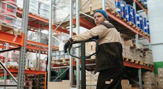 Palettes en bois : pourquoi l’occasion séduit de plus en plus les entreprises ?