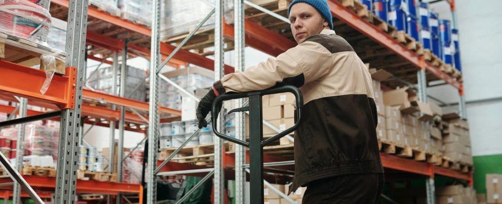 Palettes en bois : pourquoi l’occasion séduit de plus en plus les entreprises ?