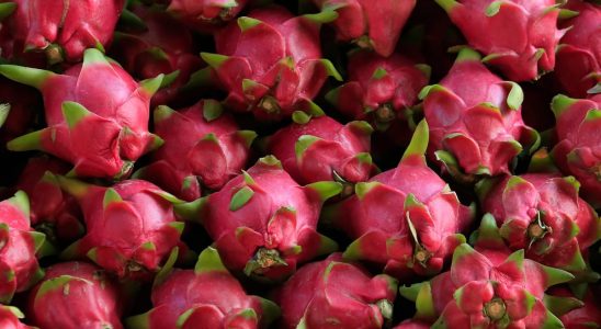 Propriétés amincissantes de la pitahaya