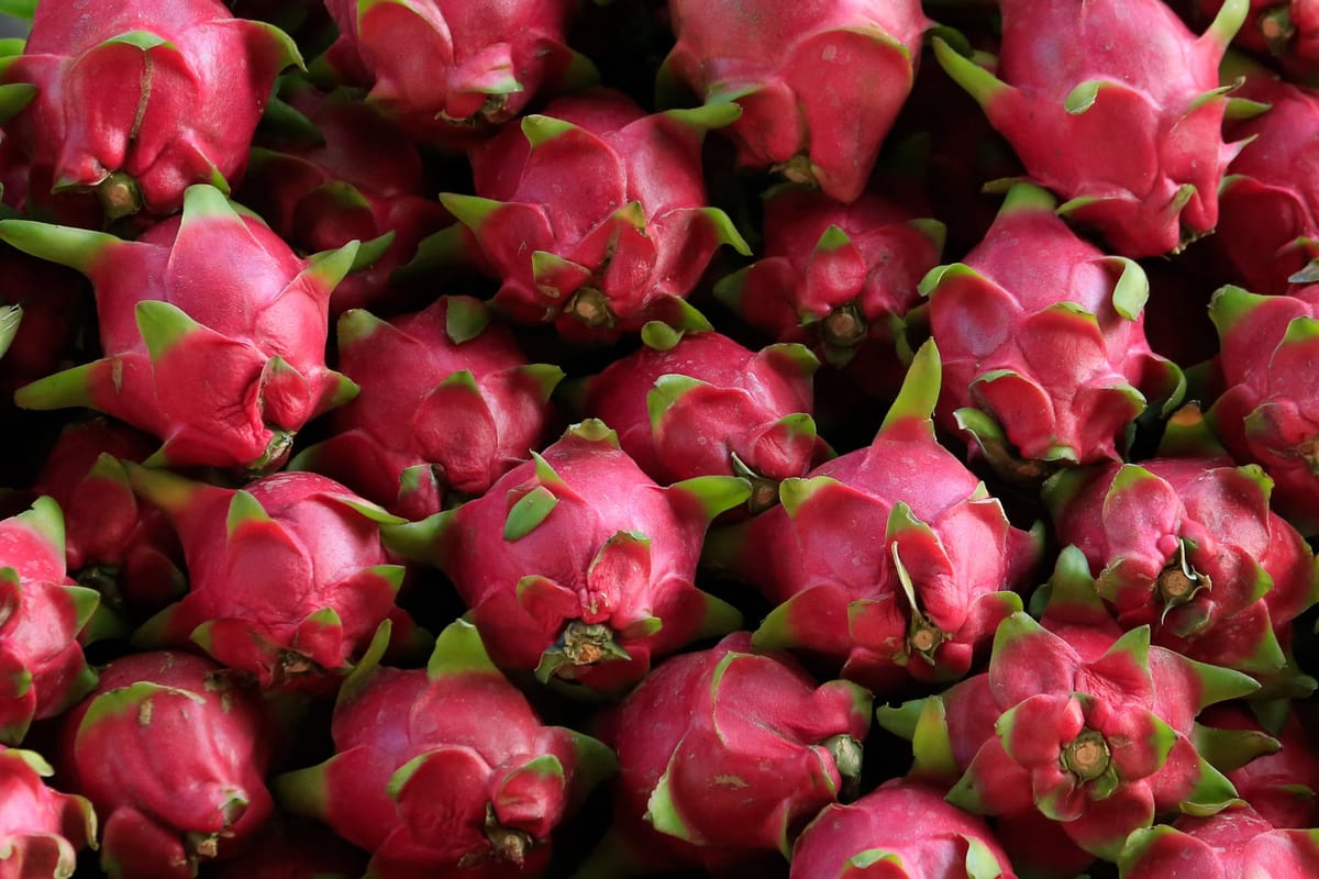 Propriétés amincissantes de la pitahaya