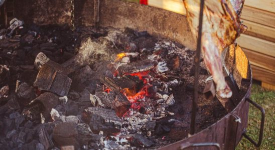 Top 10 Meilleur Barbecue Charbon De Bois 2026