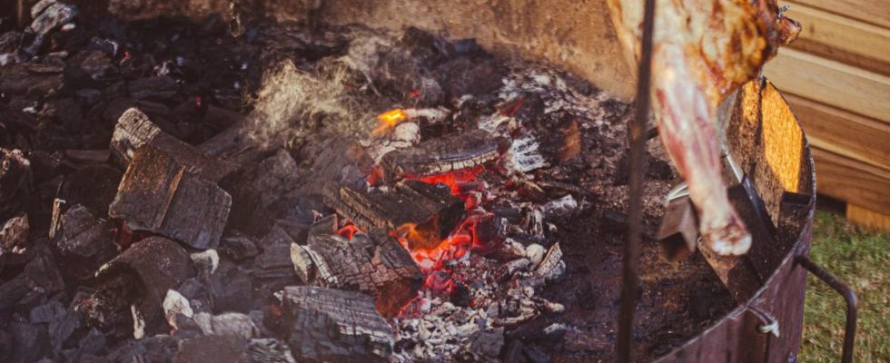 Top 10 Meilleur Barbecue Charbon De Bois 2026