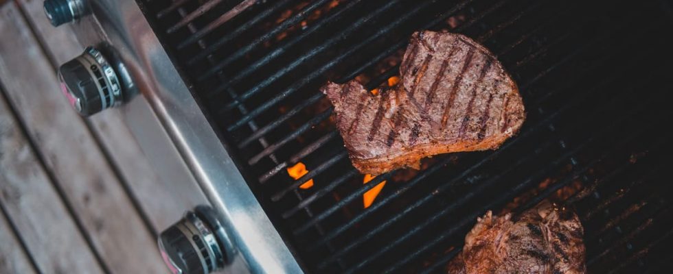 Top 10 Meilleur Barbecue Gaz Campingaz 2026